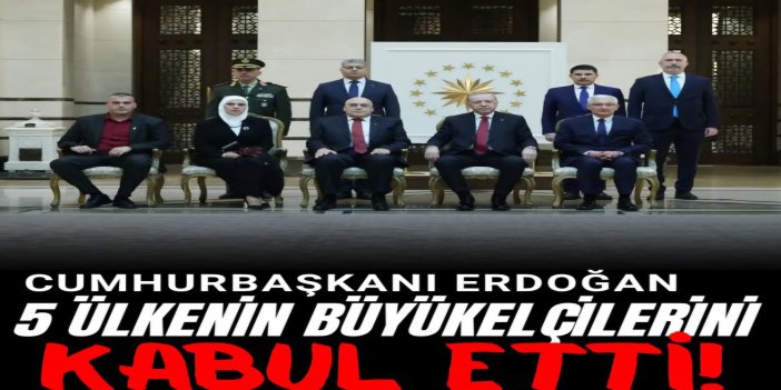 Cumhurbaşkanı Erdoğan; Lübnan, Gana, Filistin, Gine ve Japonya büyükelçilerini kabul etti