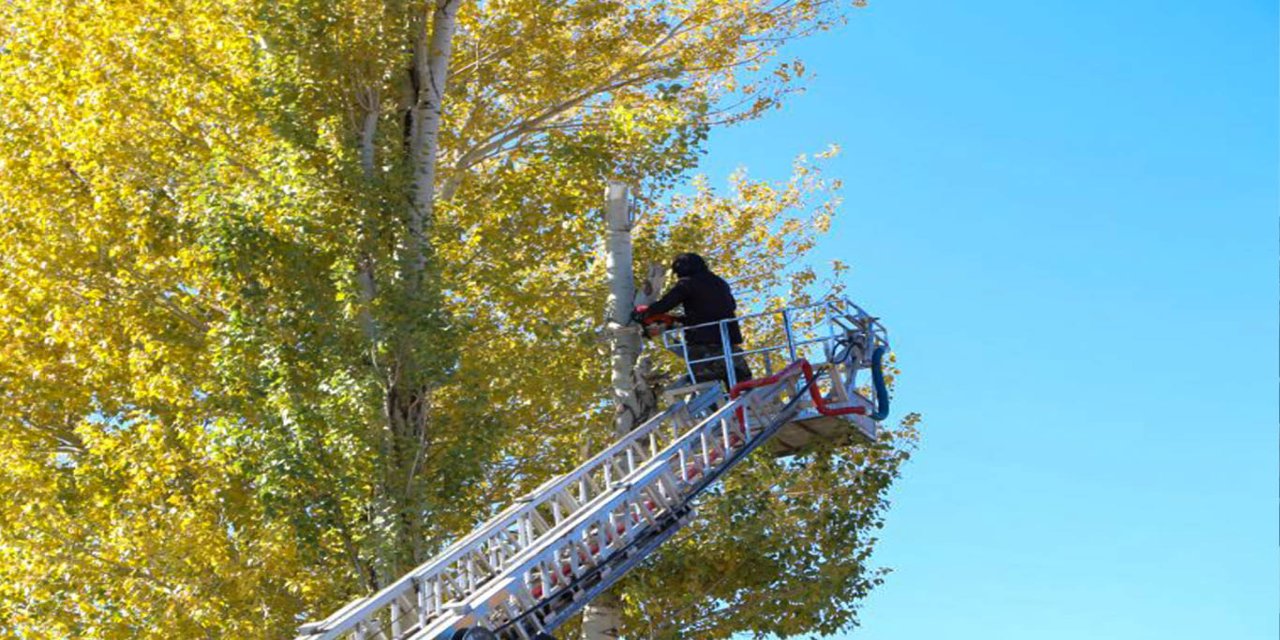 Bingöl Karlıova belediyesinden ağaç kesimi yapan vatandaşlara itfaiye desteği