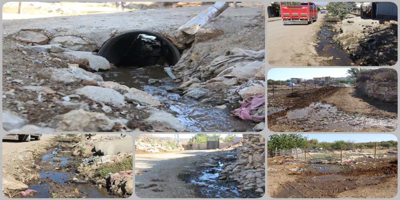 Diyarbakır'daki bu mahallenin altyapı sorunu ölüm saçıyor