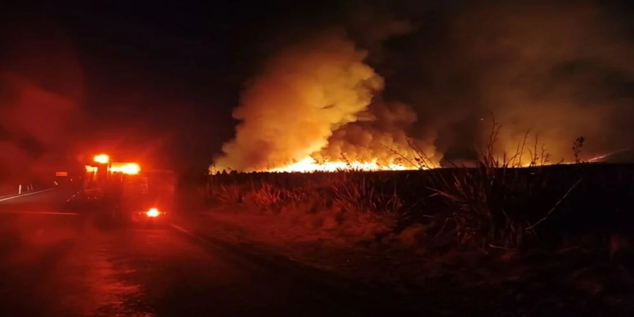 Yeni Zelanda'da UNESCO listesinde yer alan parkta yangın: 1800 hektarlık alan kül oldu