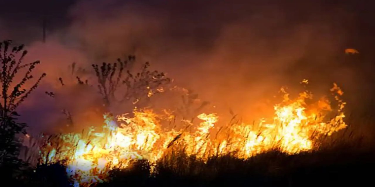 Hakkari'deki Nehil Sazlığı alevlere teslim oldu