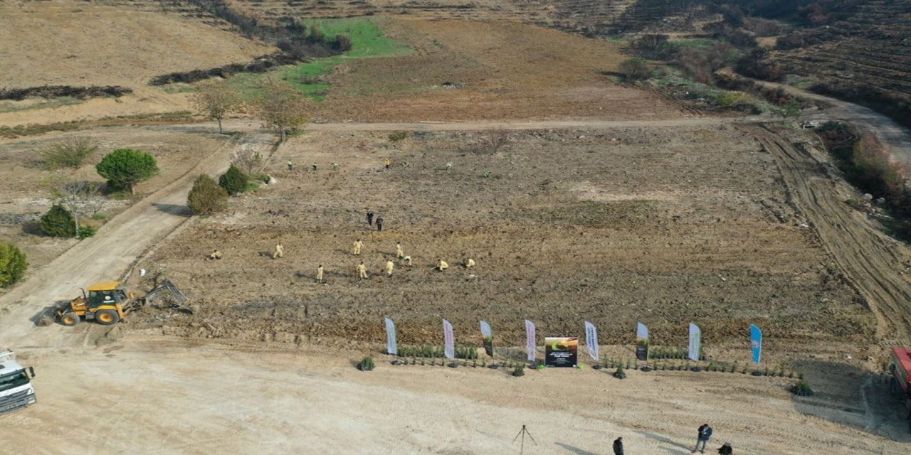 Bursa'da 3 milyon fidan toprakla buluşacak
