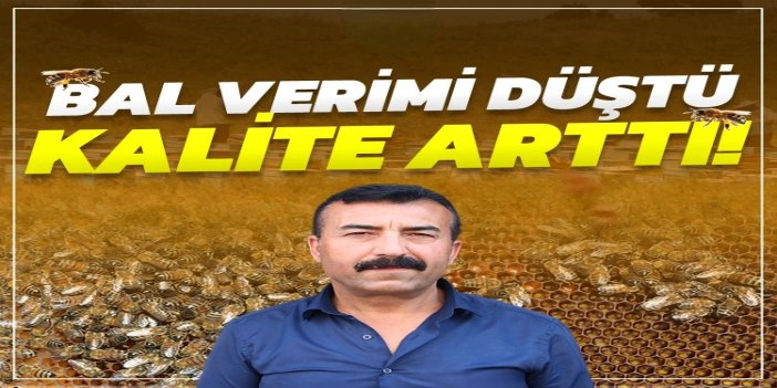 Bu yıl bal verimi düştü, kalite arttı
