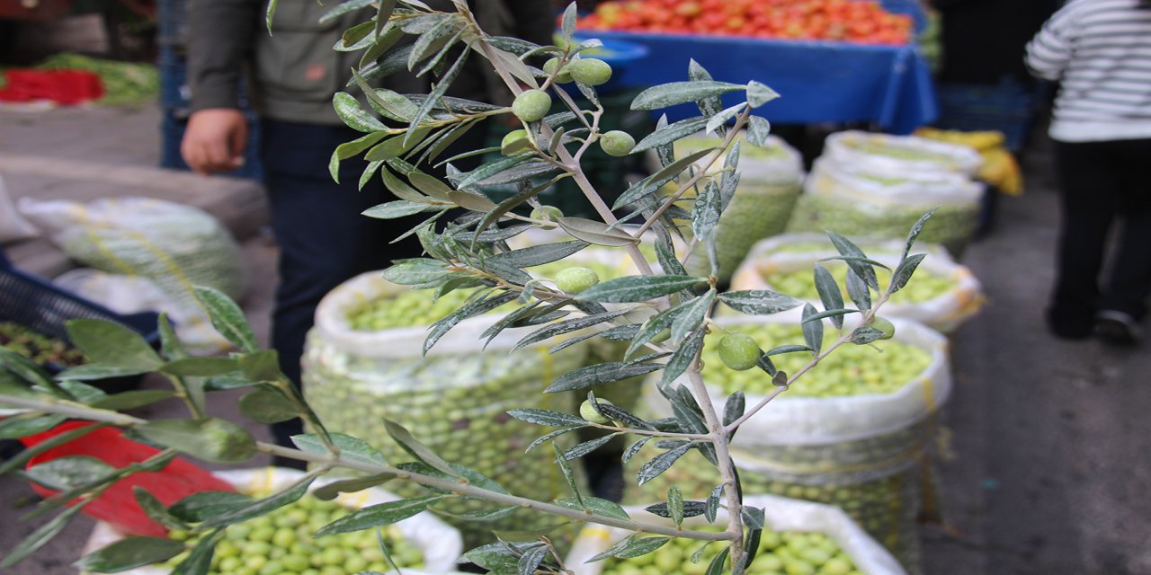 Kahvaltı sofralarının vazgeçilmezi yeşil zeytinde fiyatlar bir önceki günü aratıyor