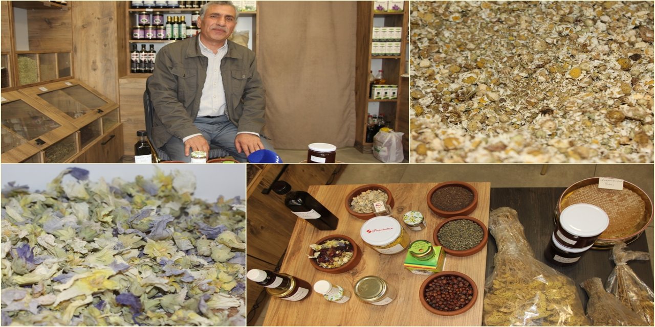 Bağışıklık sistemini güçlü tutmak için şifalı bitkilerle kışa hazırlık