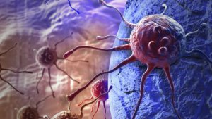 Zika virüsü için bir açıklama daha cinsel yolla bulaşıyor