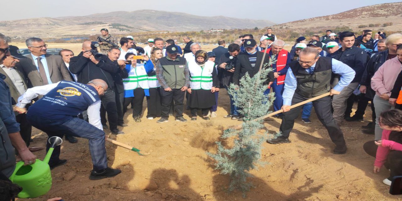 Malatya'da yüzbinlerce fidan toprakla buluştu