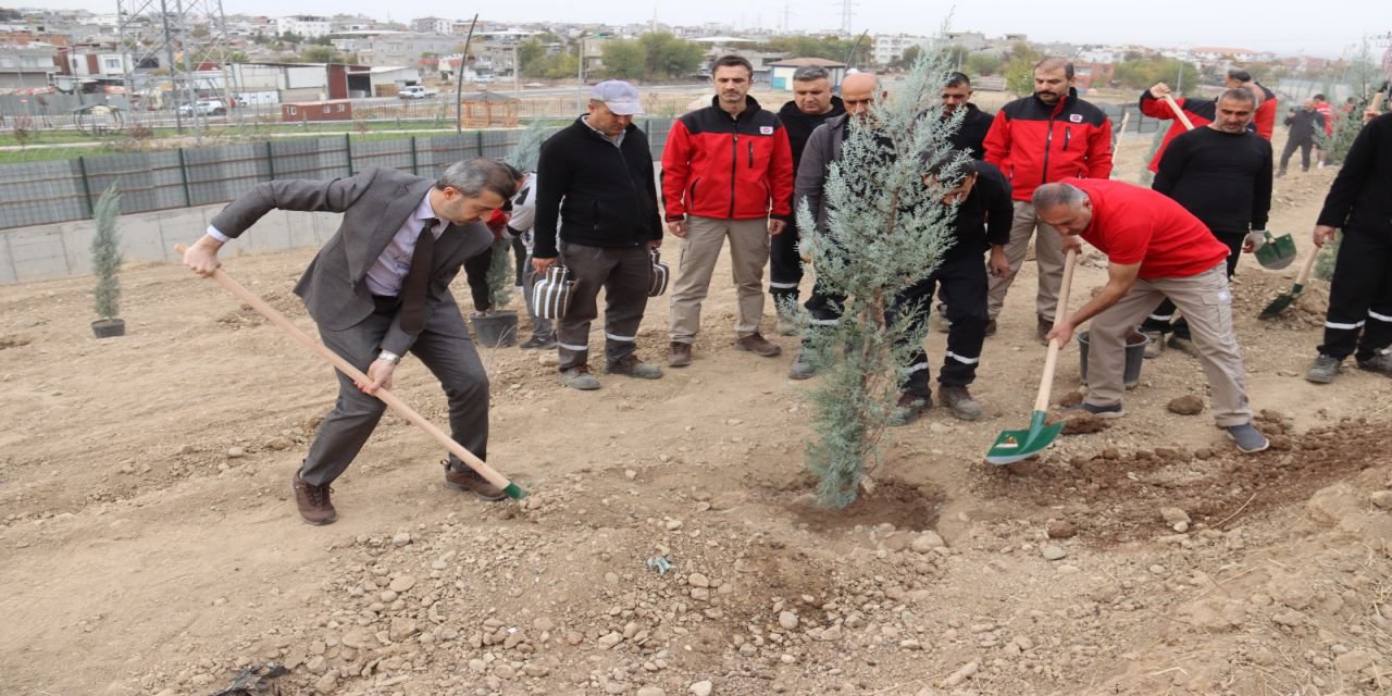 TPAO Batman Bölge Müdürlüğü’nden Yeşil Vatan Seferberliğine 500 Fidanlık Katkı