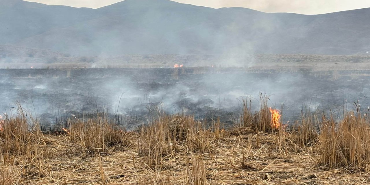 Bingöl'de anız yangını kısa sürede söndürüldü