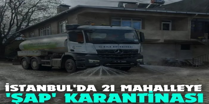İstanbul'da 21 mahallede şap nedeniyle karantina başladı