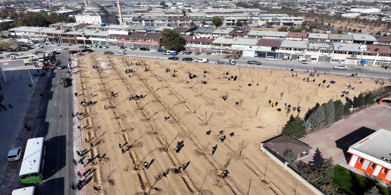 Konya'da 10 Bin 400 metrekarelik alana fidan dikildi