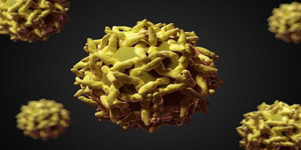 Yılbaşından bu yana Afrika'da 20 binden fazla şüpheli difteri vakası tespit edildi