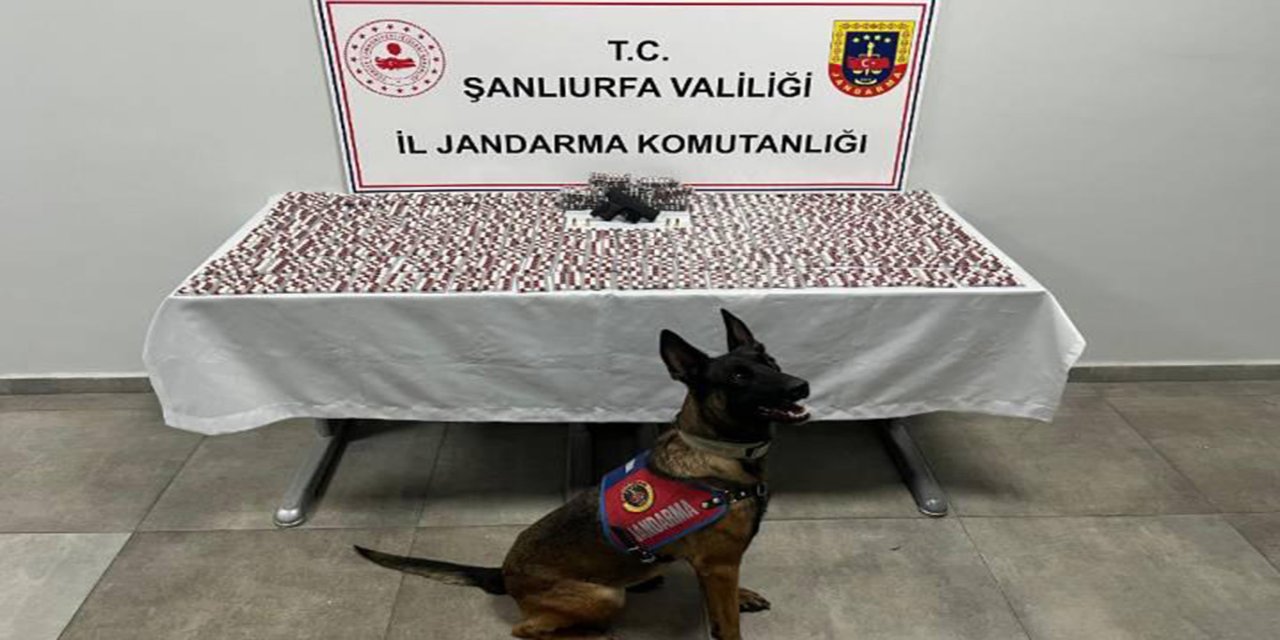 Şanlıurfa’da uyuşturucu operasyonunda sentetik ecza ve silah ele geçirildi
