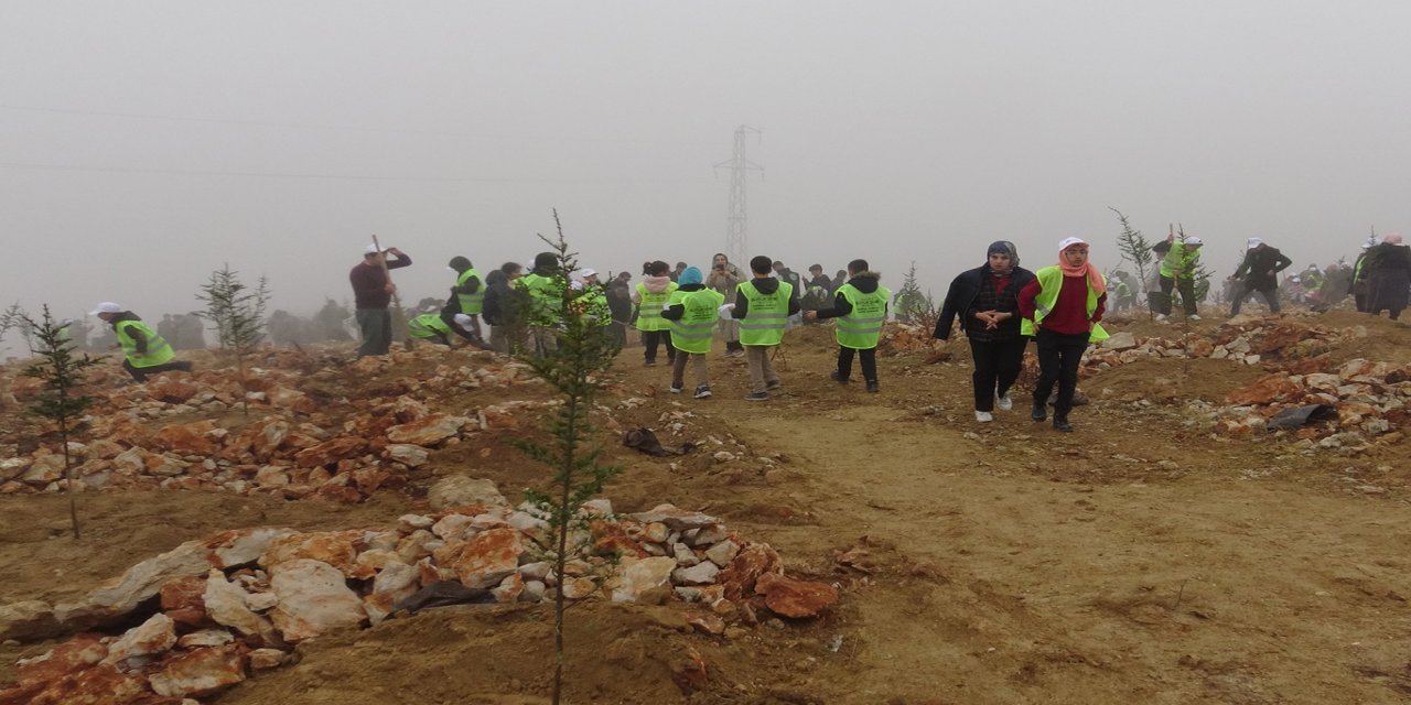 Malatya Beydağı'nda ağaçlandırma seferberliği