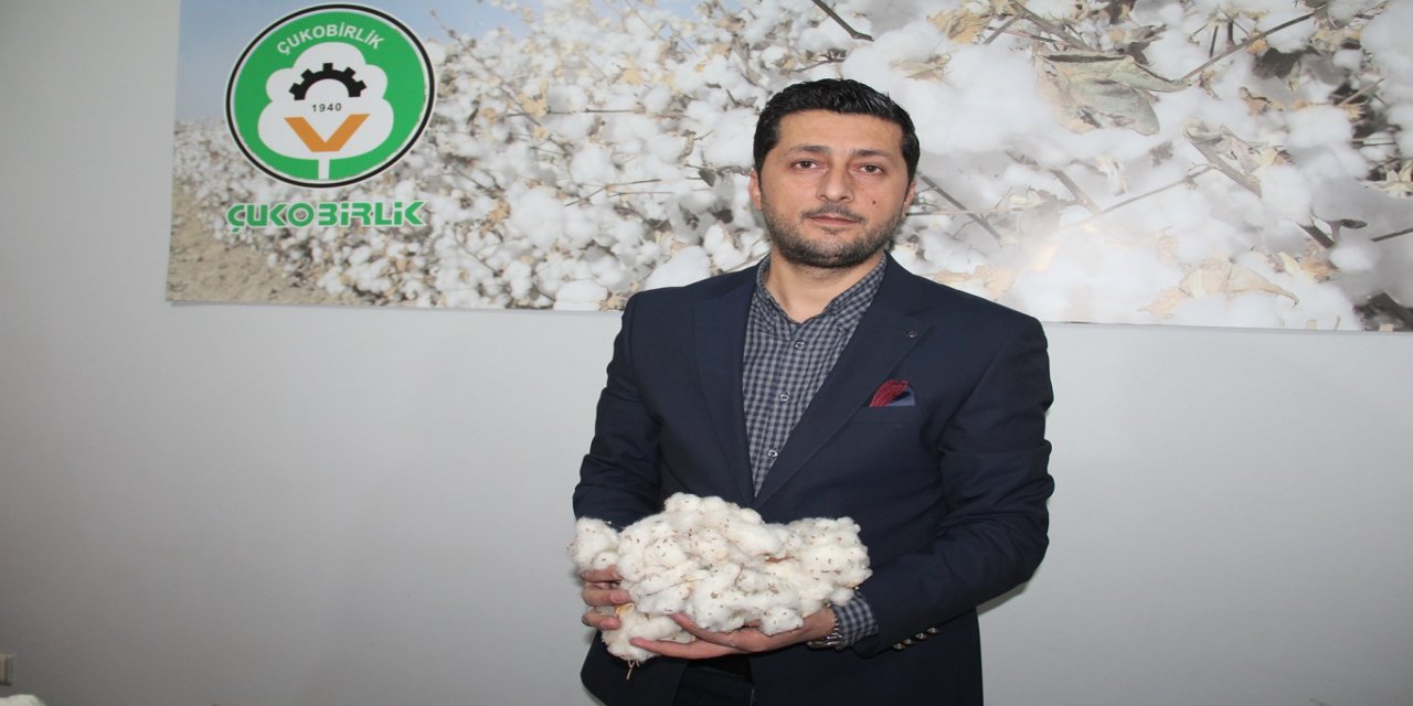 Çitçiler emeğinin karşılığını istiyor: Destek artarsa pamuk alanları büyüyecek