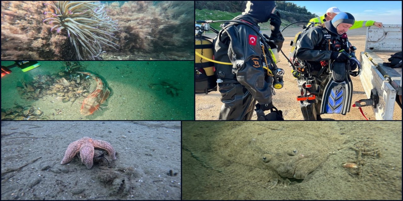 Marmara Denizi’nde hayalet ağ tehdidine karşı kapsamlı araştırma başlatıldı