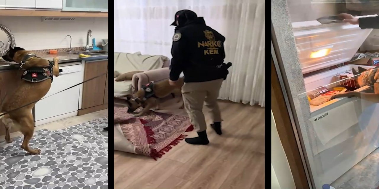 Şırnak’ta uyuşturucu satıcılarına şafak operasyonu: 20 gözaltı