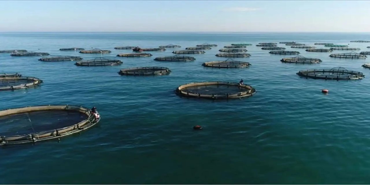 Su ürünleri avcılığı sözleşmeli üretim kapsamına alındı