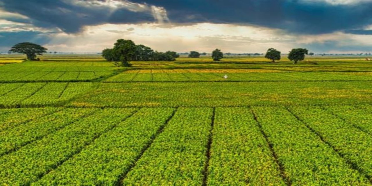Bir milyar 46 milyon liralık tarımsal destek ödemeleri çiftçinin hesabına yatırılacak