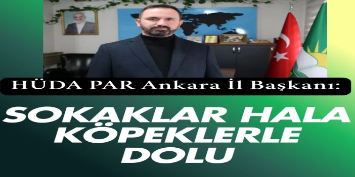 HÜDA PAR Ankara İl Başkanı Karaarslan: Sokak köpekleri sorunu artık cesur adımlarla çözülmeli