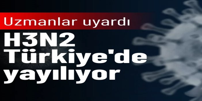H3N2 Türkiye'de yayılıyor: Uzmanlardan aşı, maske ve vitamin uyarısı