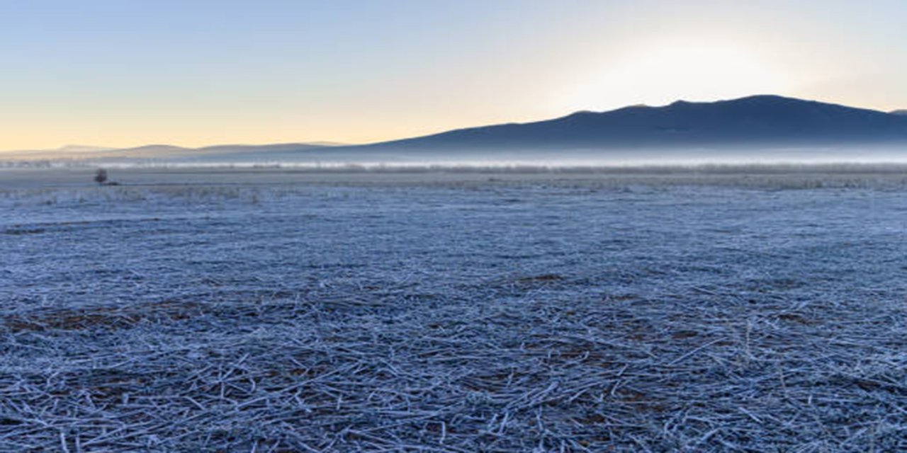 Konya AKOM’dan çiftçilere zirai don uyarısı