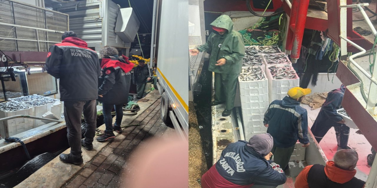 İzmir’de su ürünlerine yönelik denetimlerde 516 kilogram balığa el konuldu