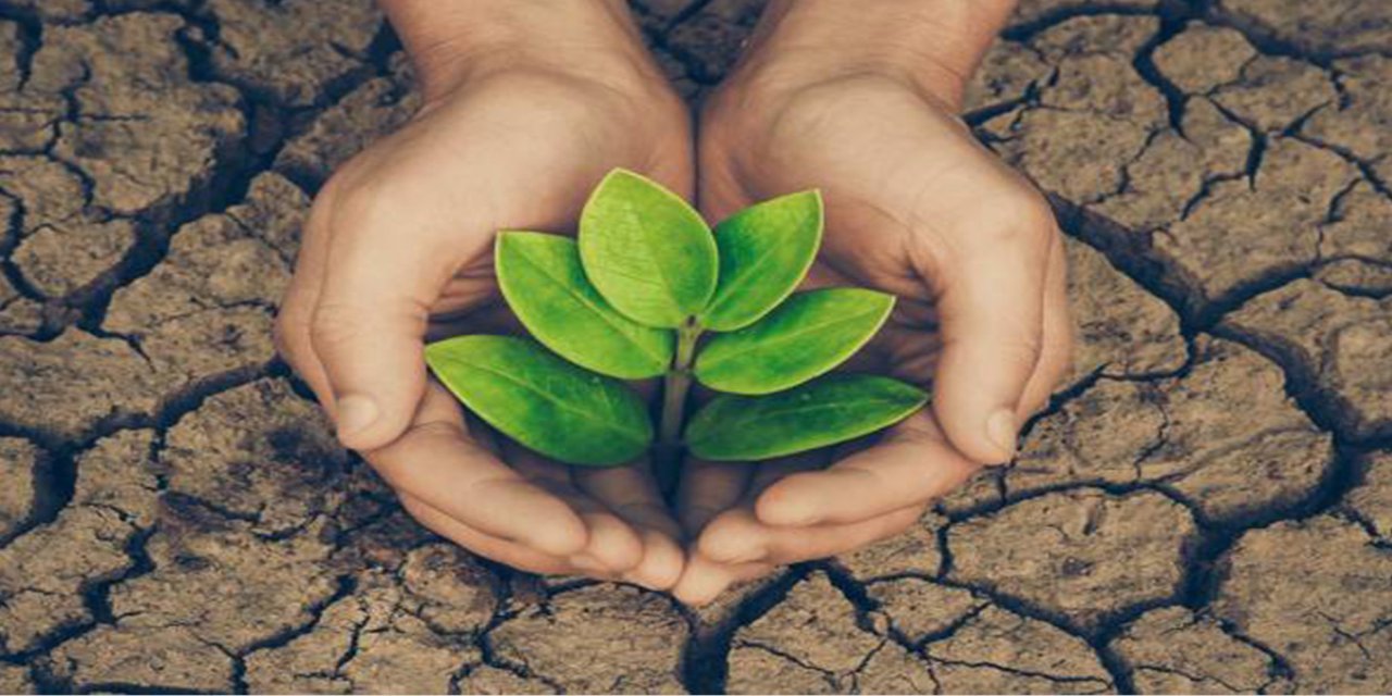 Çevre koruma harcamaları 441 milyar TL’yi aştı