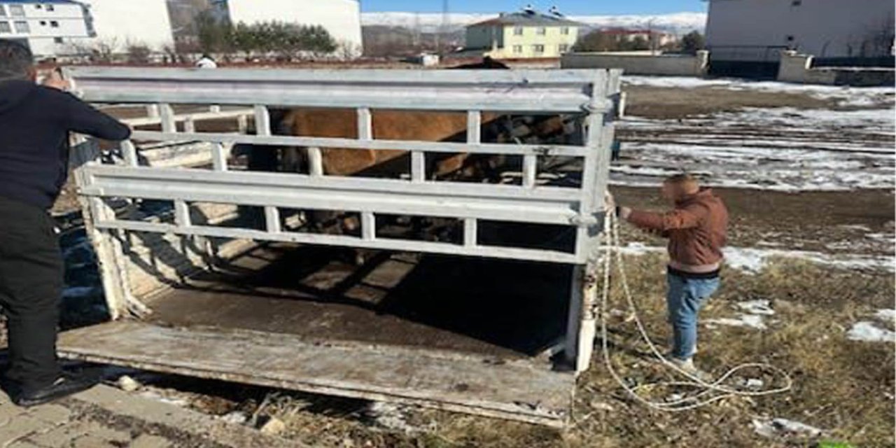 Kazalara sebep oluyordu; çözüm bulundu