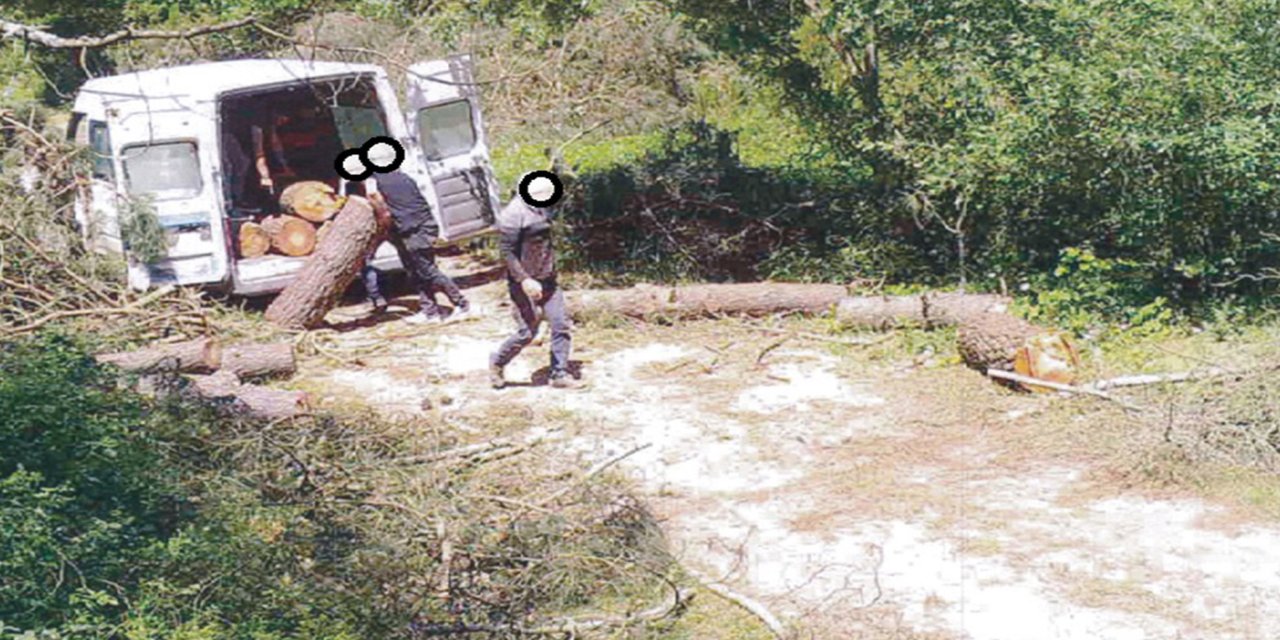 OGM’den kaçak kesimlere karşı 7/24 koruma