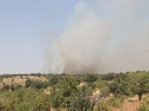 Mardin’de facia önlendi!