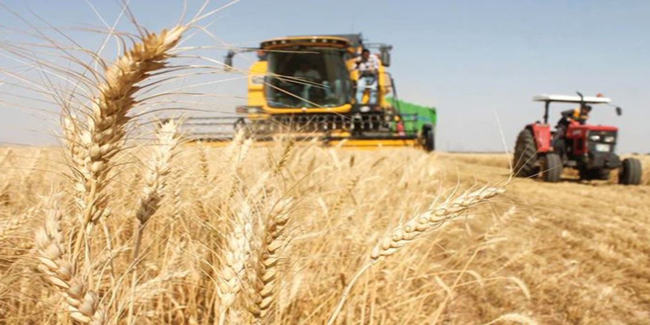 ​​​​​​​Güneydoğu'da hububat sektörü ihracatı 3,2 milyar dolar olarak gerçekleşti