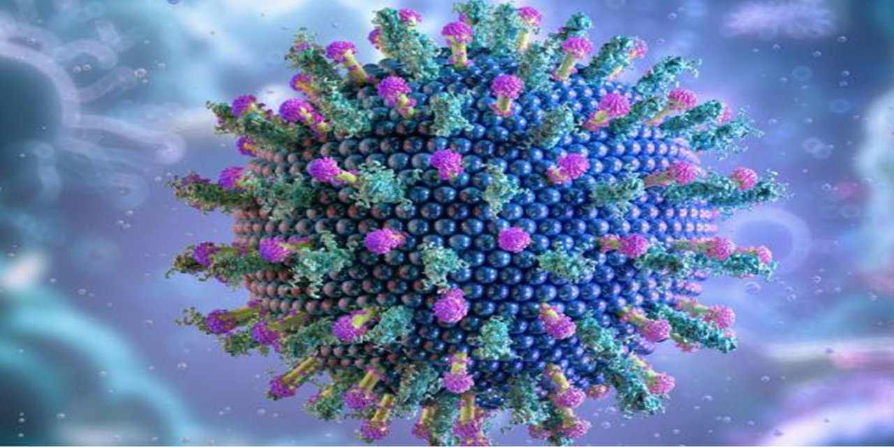 Gıda zehirlenmesi m viral enfeksiyon mu?