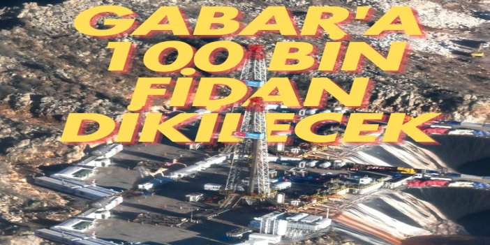 Gabar’da 100 bin fidan hedefiyle yeşil seferberlik başladı