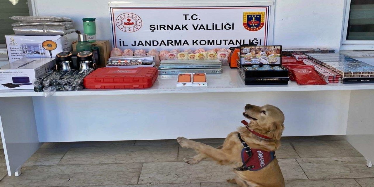 Şırnak'ta kaçakçılık, asayiş ve narkotik operasyonları: 159 gözaltı