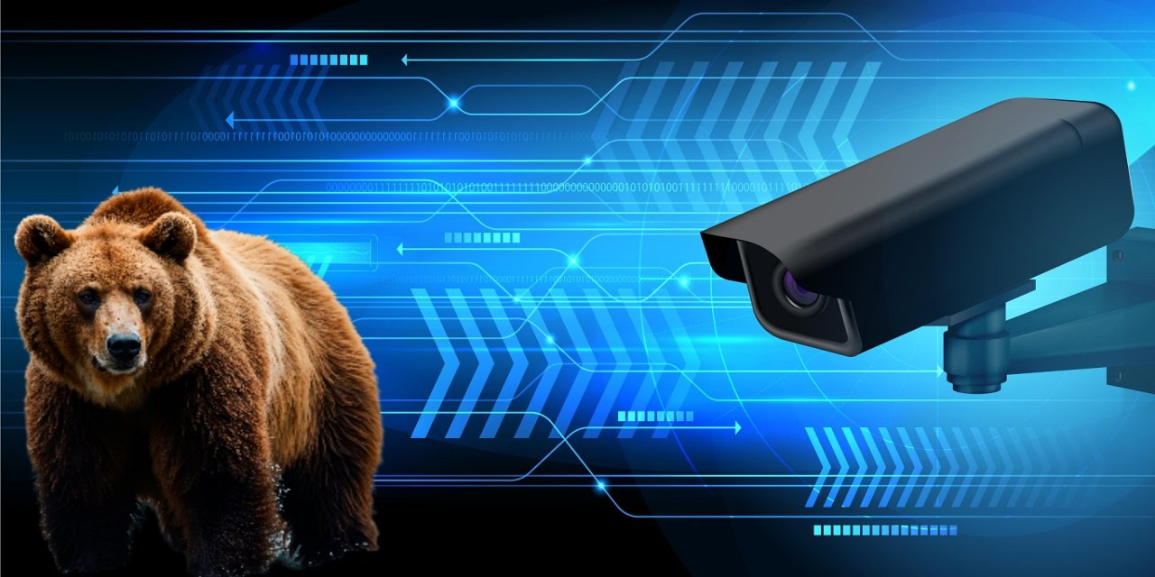 Ayı tehlikesine yapay zekâlı önlem: Yaklaşan ayılar “B Alert” ile anında tespit edilecek