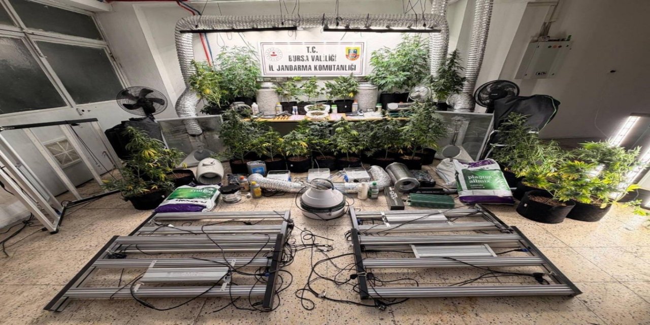 Bursa’da uyuşturucu operasyonu: 1 gözaltı