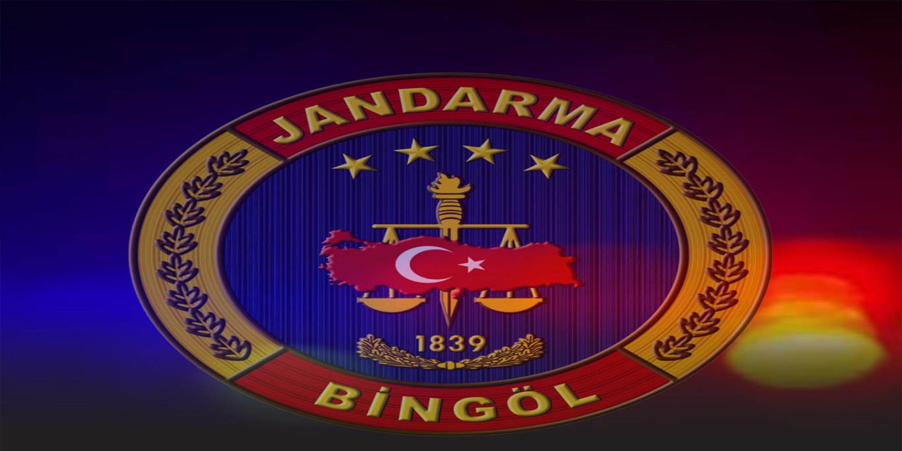 Bingöl’de jandarmadan 1 haftada 29 olaya müdahale