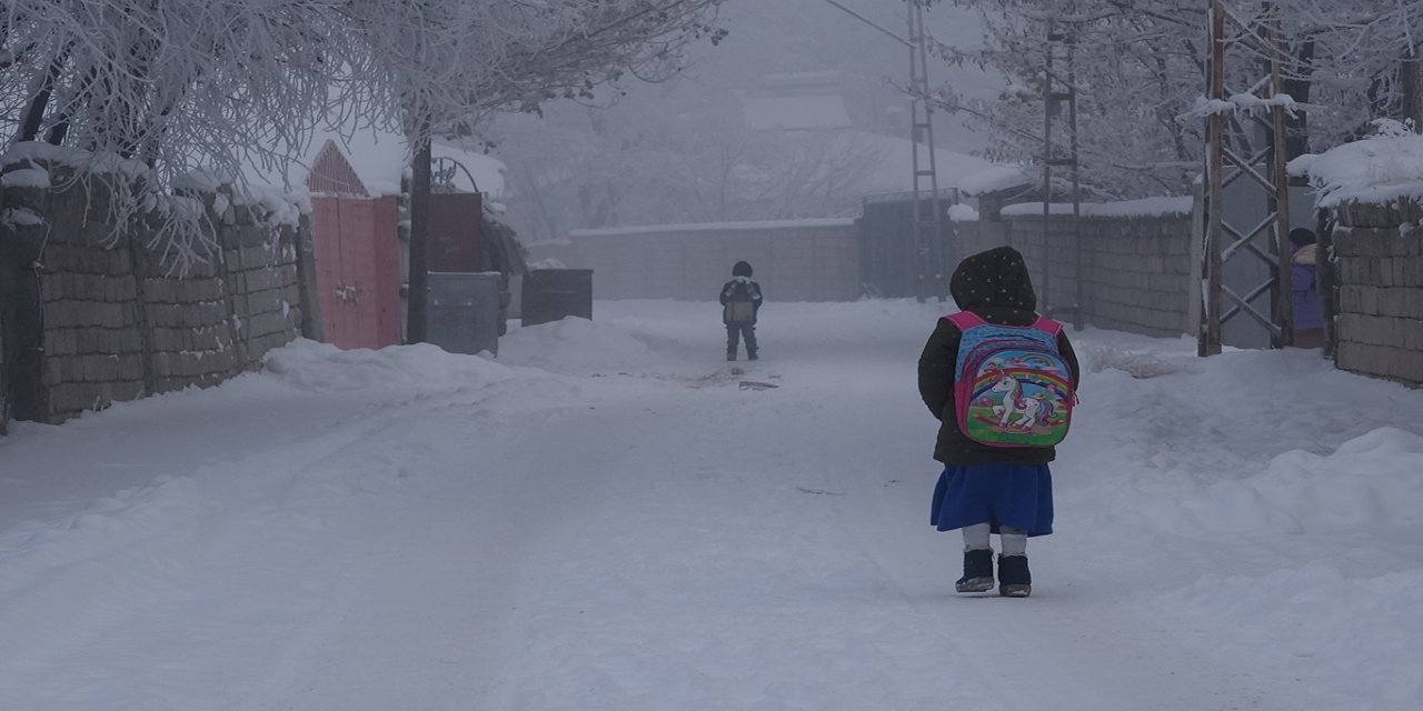 Ağrı’da Murat Nehri buz tuttu, şehirde sis görüş mesafesini düşürdü