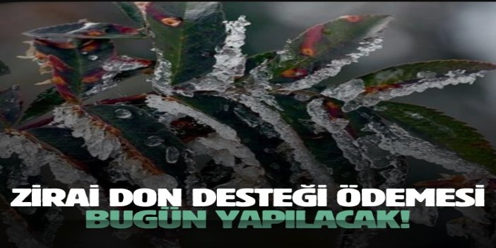 Tarımsal destek ödemeleri bugün hesaplara yatıyor