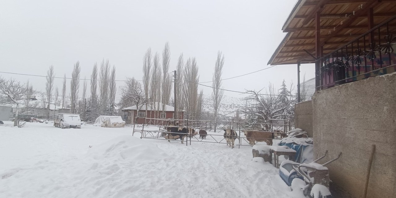 Tufanbeyli’de kar yağışı hayvancılığı etkiledi