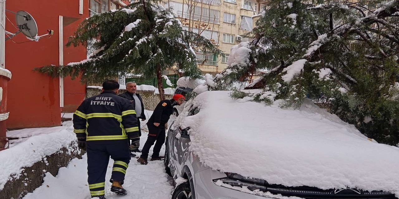 Siirt’te kar tehlikesi: Çam ağacı otomobilin üzerine devrildi