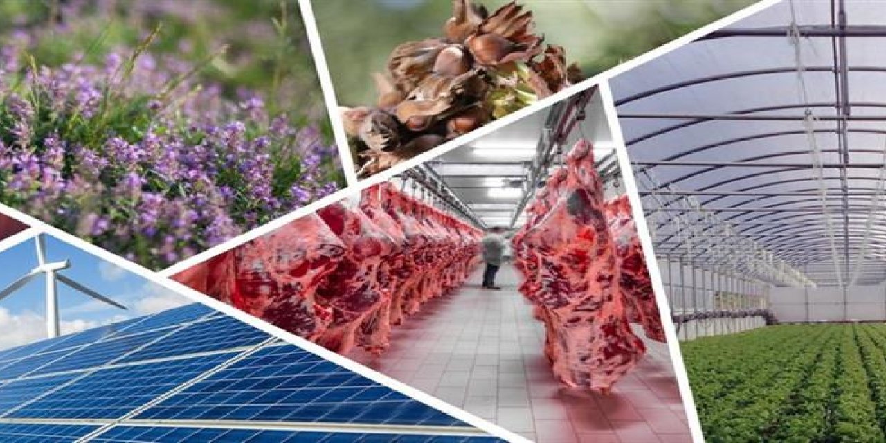 Kırsal kalkınma desteklerinde yeni dönemde hibeler artırıldı