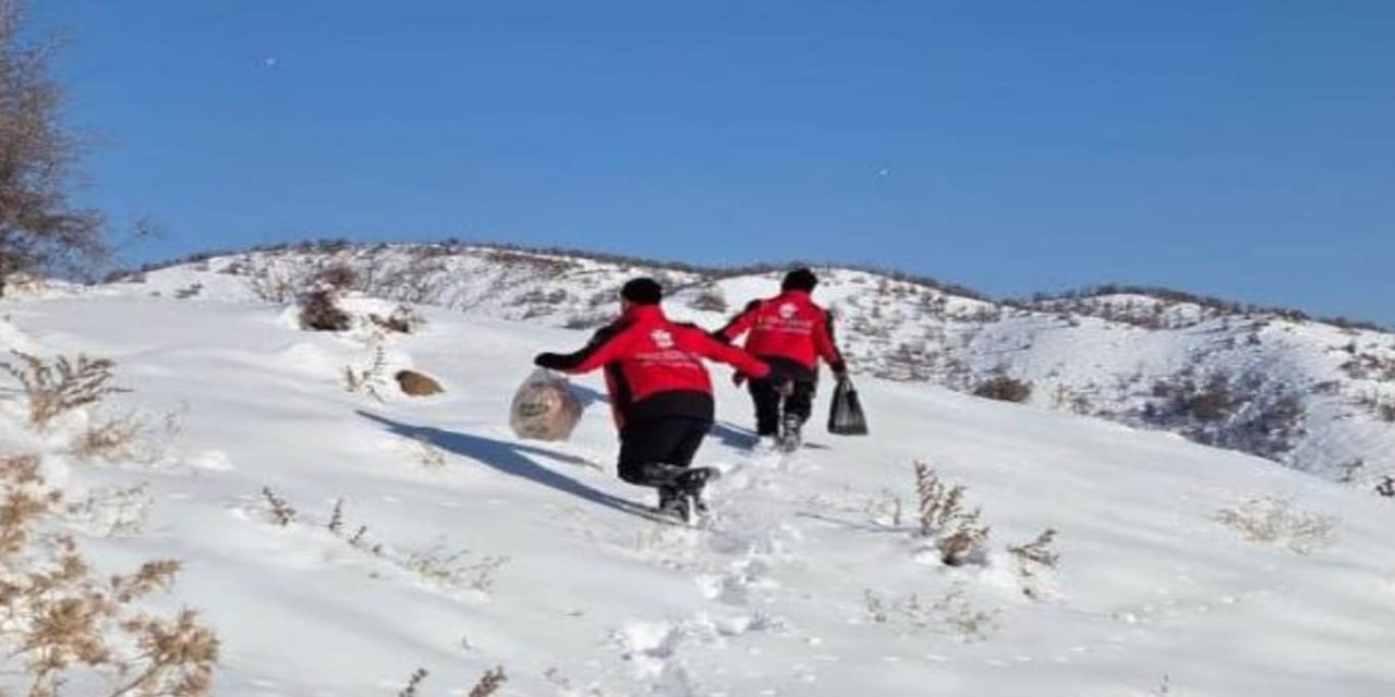 Bingöl Umut Kervanı yabani hayvanlar için doğaya yem bıraktı