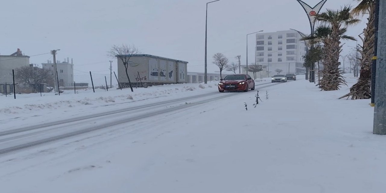 Öter: Son 10 yılın en verimli kar yağışı Mardin Ovası’na can suyu oldu