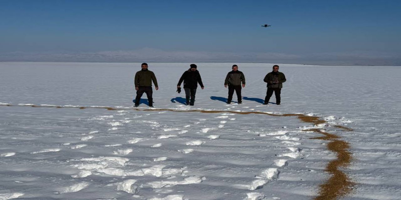 Batman'da yaban hayvanları için yem desteği
