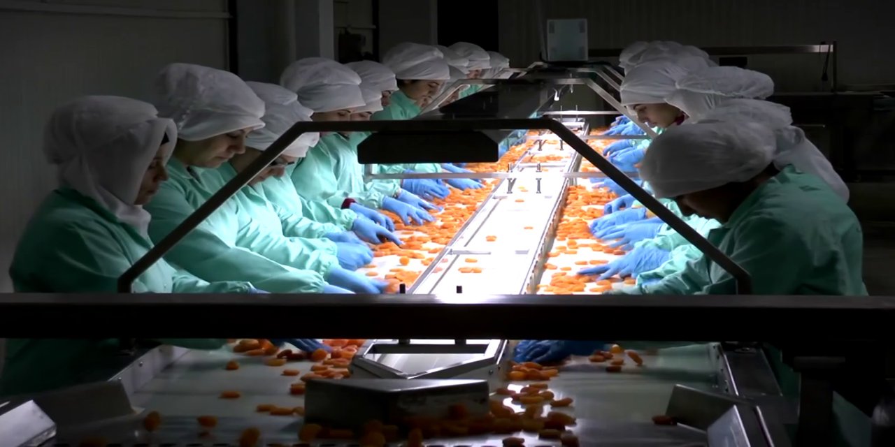 MTB Başkanı Özcan: 2025 yılında 47 bin 699 ton kuru kayısı ihracatı gerçekleştirdik