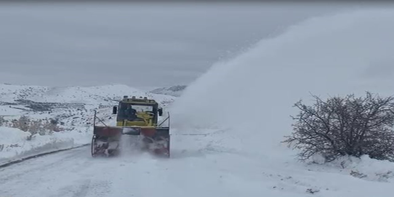 Malatya'da okullar kar nedeniyle tatil edildi