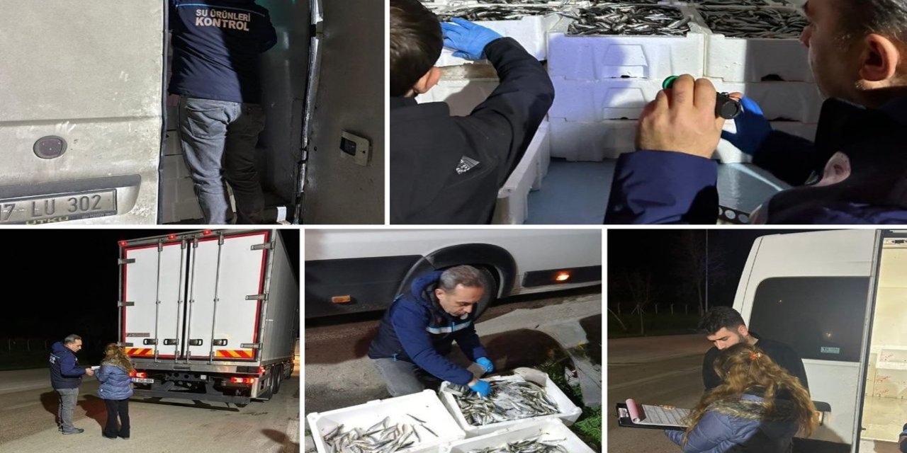 Bursa’da su ürünlerine denetim: 2 kişiye ceza, 1,8 ton balığa el konuldu