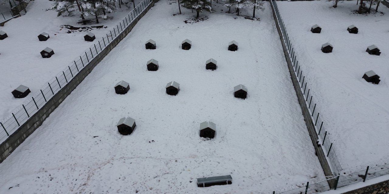 Malatya'nın ikinci hayvan barınağı hizmete başladı